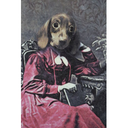 Skrzynka w formie książki z humorystycznym motywem psa.